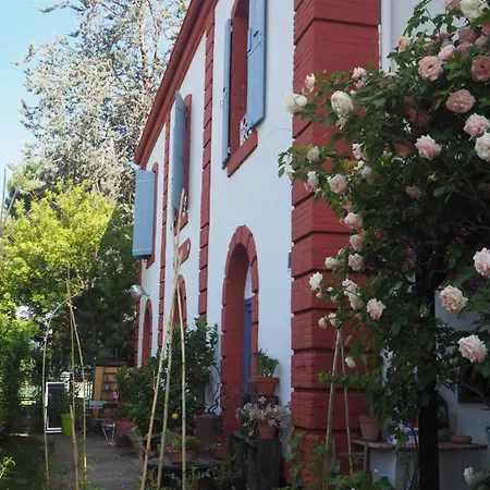 La Gare De D'hotes Millas