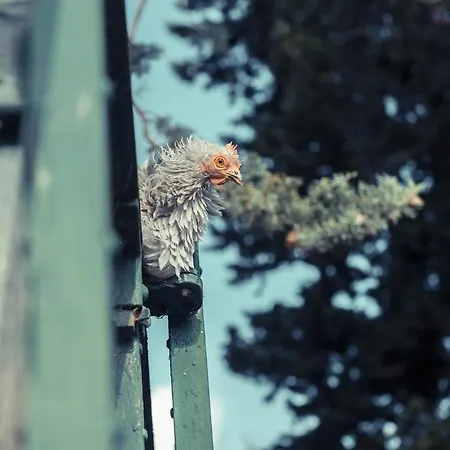 La Gare De D'hotes Millas