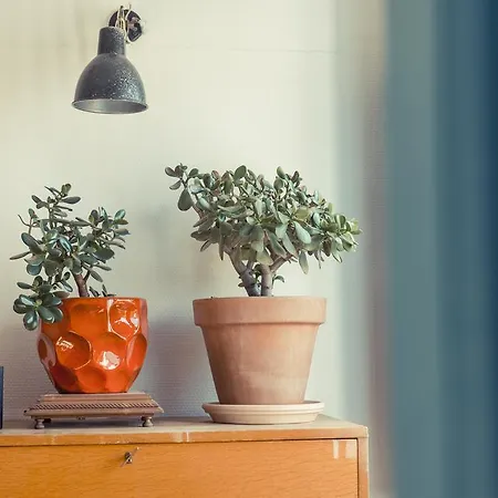 La Gare De D'hotes 3*